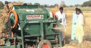 25m ton wheat production target for next year  